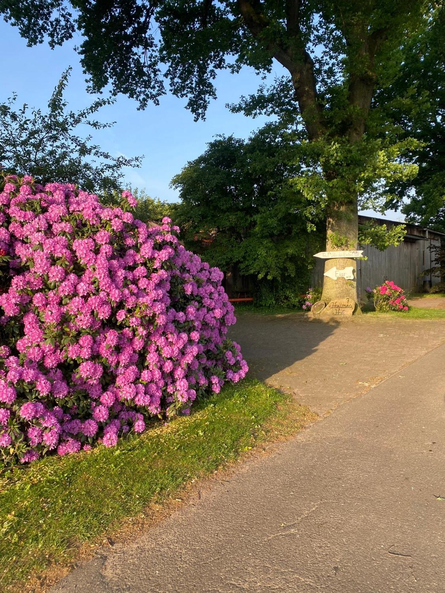 Apartamento Unter Den Eichen Botersen Exterior foto